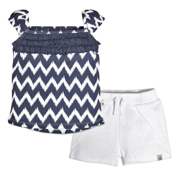 Burt's Bees Baby Other - Burt's Bees Baby Ikat Chevron Top & Short